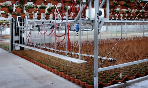 Greenhouse Water and Irrigation System