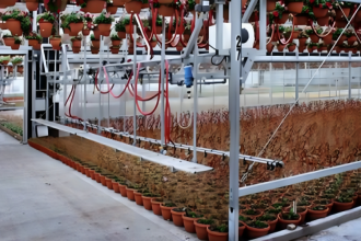 Greenhouse Water and Irrigation System